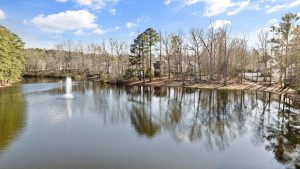 septic system operation process