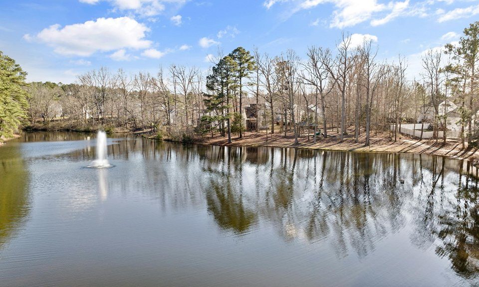 septic system operation process